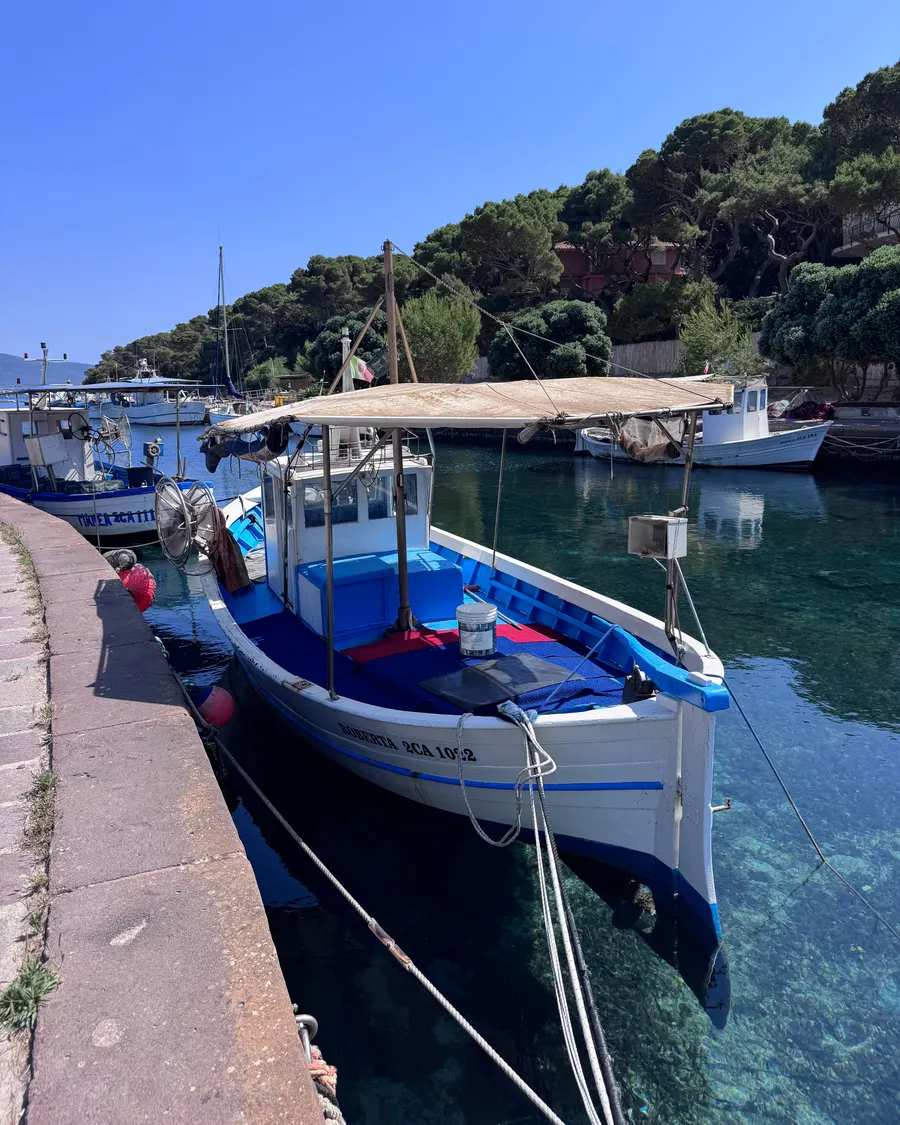 El puerto del Grau, de donde llega el pescado cada mañana